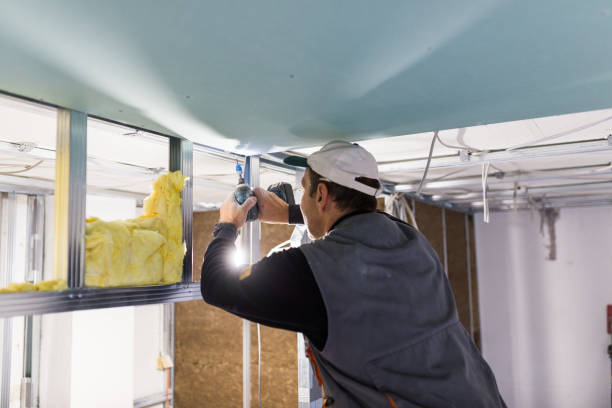 Best Fiberglass Insulation  in Hillsborough, NC