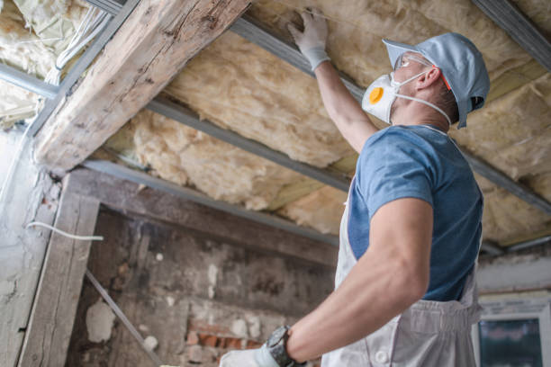 Best Crawl Space Insulation  in Hillsborough, NC
