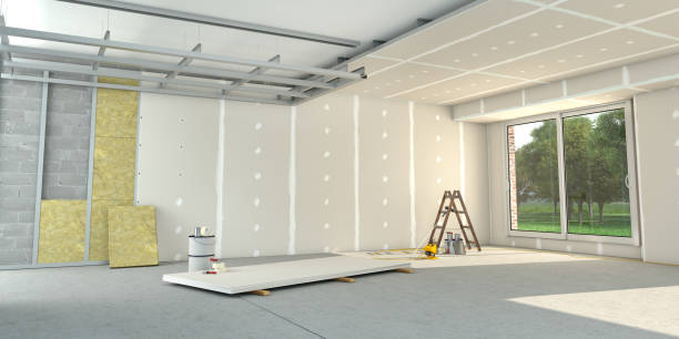 Best Insulation Removal  in Hillsborough, NC