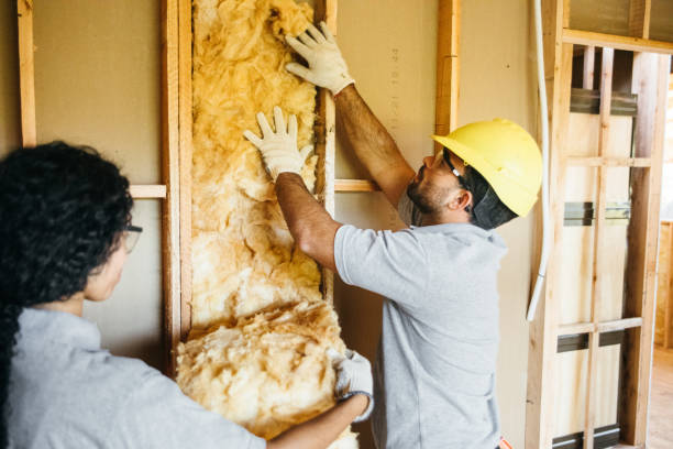 Best Cellulose Insulation  in Hillsborough, NC