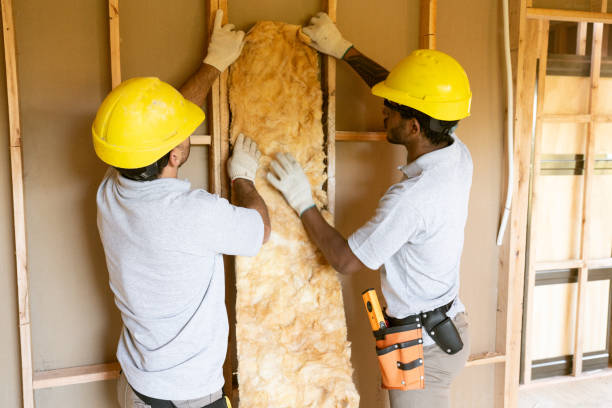 Best Insulation Contractors for Homes  in Hillsborough, NC