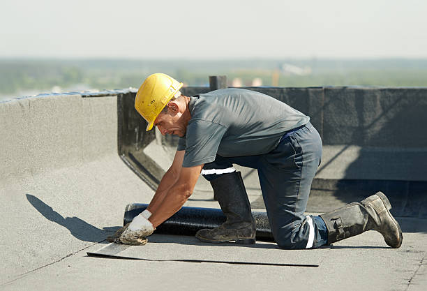 Best Insulation Repair Services  in Hillsborough, NC