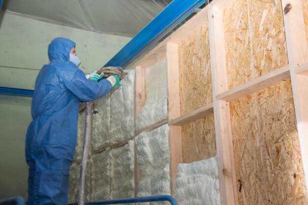Best Insulation for Commercial Buildings  in Hillsborough, NC